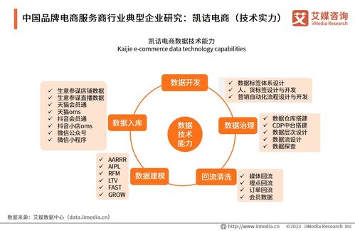2023年中國品牌電商服務(wù)商行業(yè)研究報(bào)告 信息技術(shù)咨詢服務(wù)的價(jià)值重塑與趨勢(shì)洞察