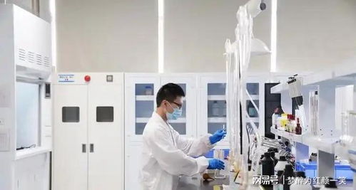 駿亞科技旗下工廠 教育科技的創(chuàng)新引擎與實訓基地